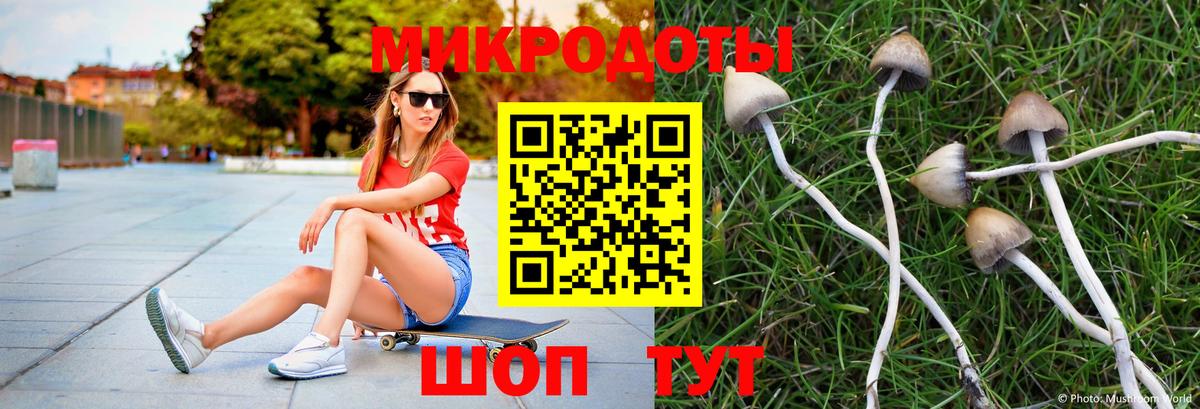 Галлюциногенные грибы Cubensis  Псилоцибиновые грибы Psilocybine cubensis  Качканар  Вход с VPN 